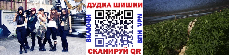 купить закладку  Навашино  Каннабис MAZAR 